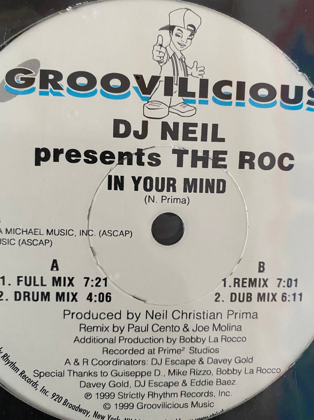 DJ Neil presents The Roc - In Your mind